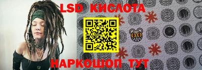крисы Малгобек