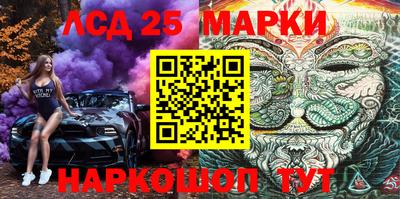 крисы Малгобек