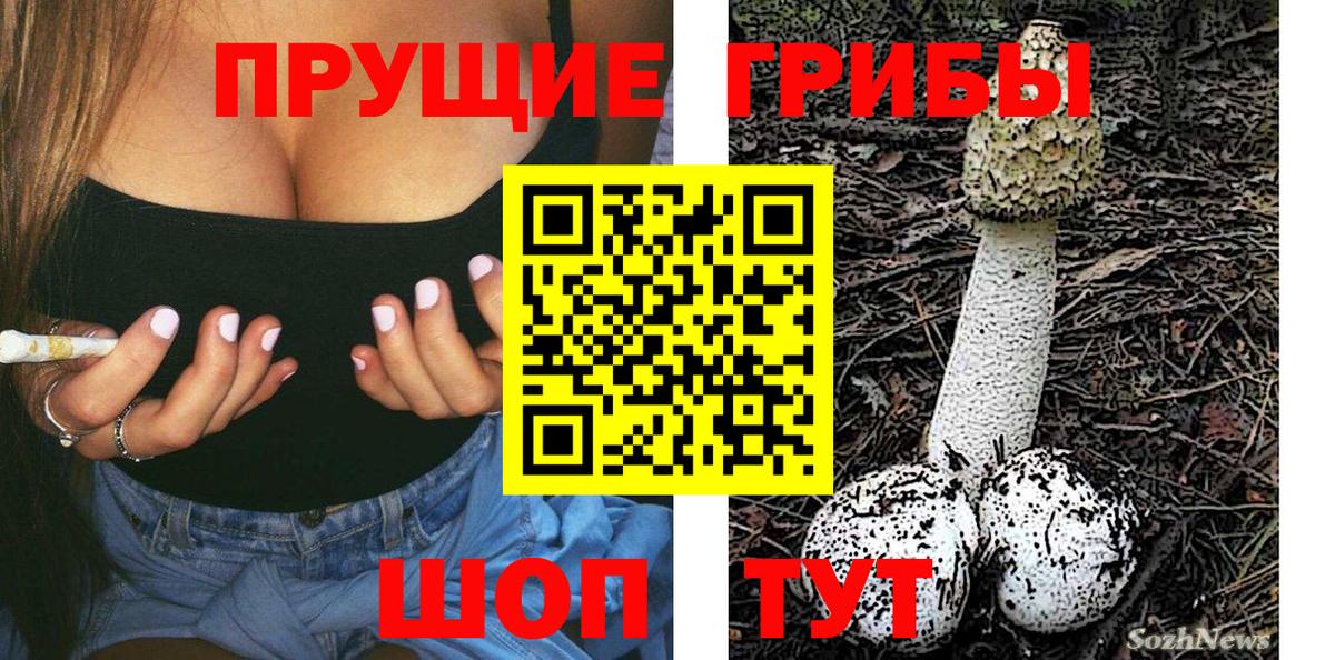 Псилоцибиновые грибы ЛСД  Вход с VPN  Псилоцибиновые грибы ЛСД  Владимир 