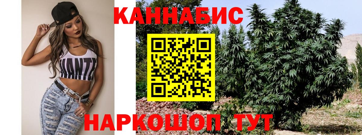 Бошки Шишки White Widow  Конопля OG Kush  Вход с VPN  Конопля Bruce Banner  Конопля OG Kush  Владимир 